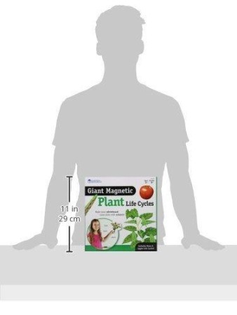 Ciclul vietii plantei - set magnetic [5]