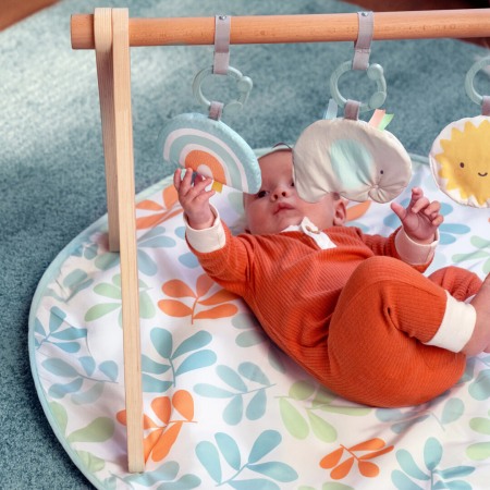 Ingenuity - Salteluta de joaca cu Bara de Jucarii Ity Sun Valley [4]