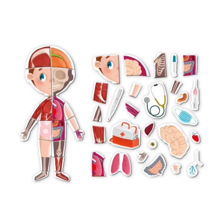 Jucarii Jocuri Activitati - Joc magnetic - Descopera corpul uman