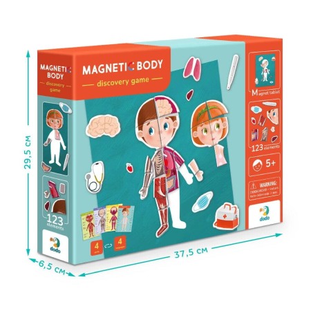 Joc magnetic - Descopera corpul uman [3]
