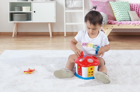 Joc sortare - Casuta vesela cu chei [3]