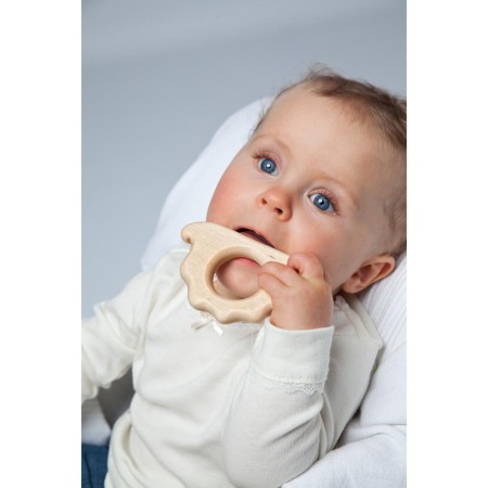 Jucarie de apucare din lemn de artar, forma arici, Gruenspecht 570-V3 [1]