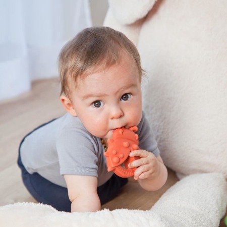 Jucarie organica pentru dentitie, din cauciuc natural, Gargarita, Grunspecht 681-00 [4]