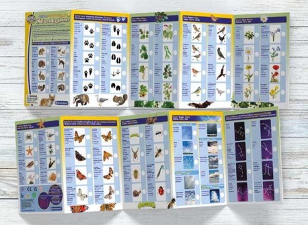 Lupa micutului explorator [7]