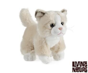 Jucarii Jocuri Activitati - Pisicuta de plus