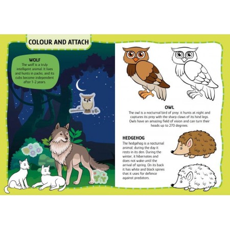 Primul set de arta & lucru manual - Animalute [3]