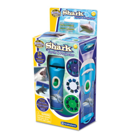 Proiector tip lanterna - Rechini periculosi [0]