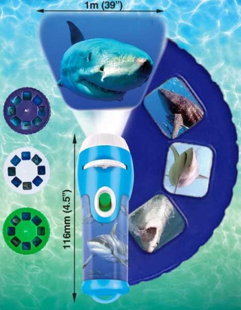 Proiector tip lanterna - Rechini periculosi [3]