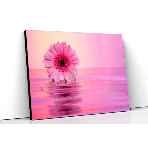 Tablouri canvas florale