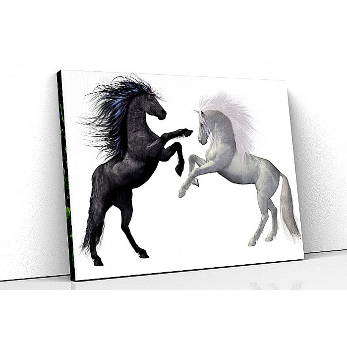 Tablou canvas animatie cai [1]