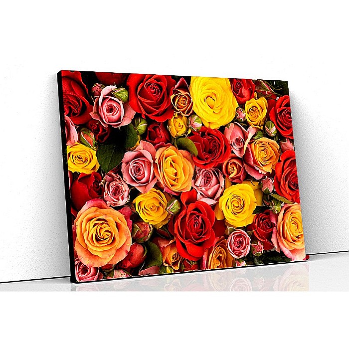 Tablou canvas buchet trandafiri multicolori [1]