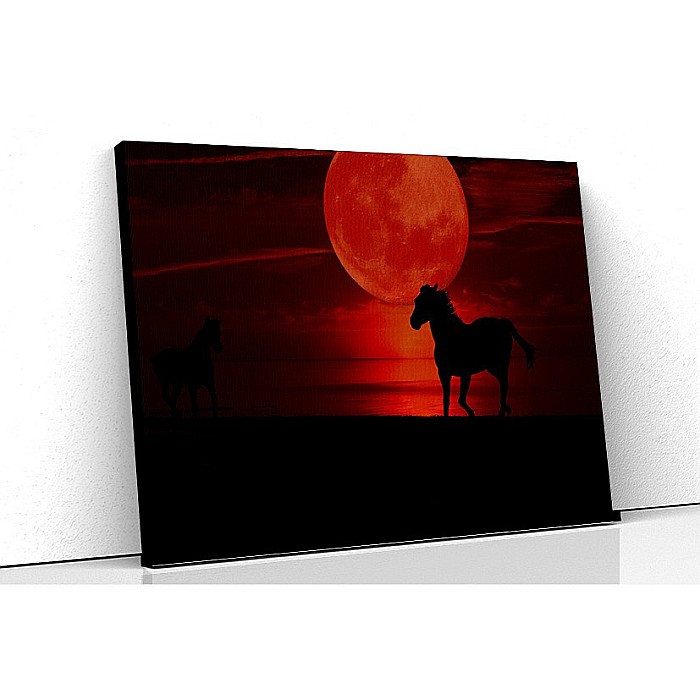 Tablou canvas cal negru luna rosie [1]