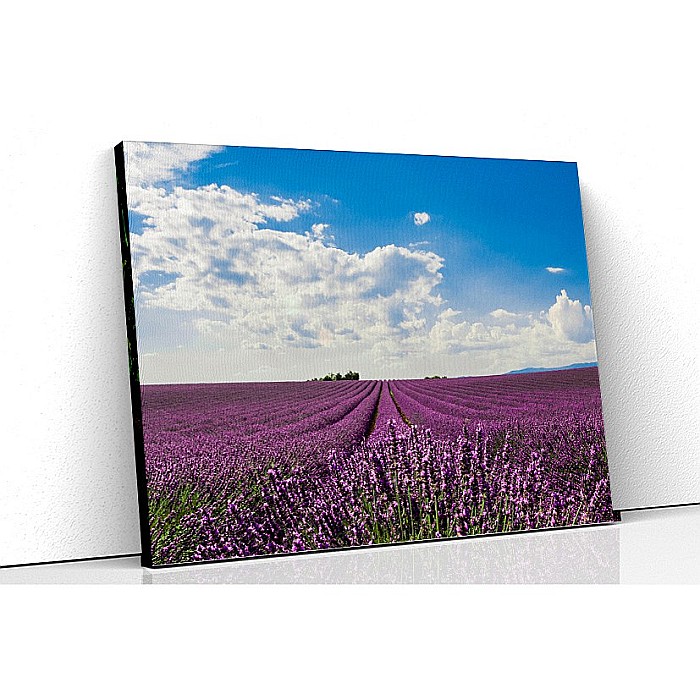 Tablou canvas camp cu lavanda [1]