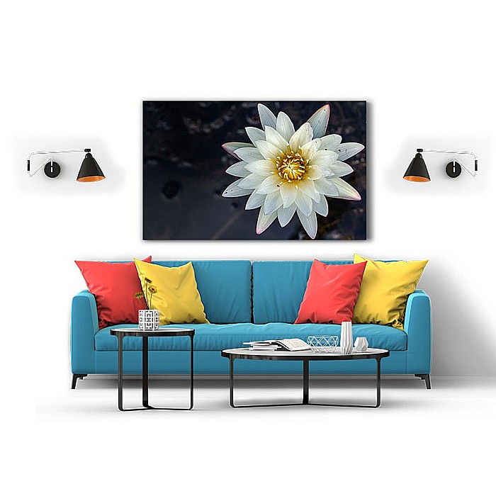 Tablou canvas crin alb salbatic [2]