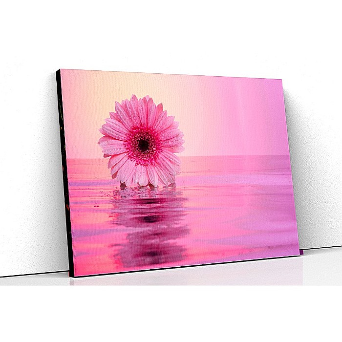 Tablou canvas floare de gerbera [1]