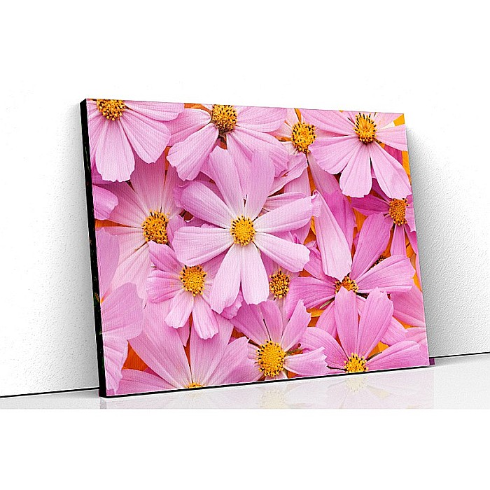 Tablou canvas flori roz [1]