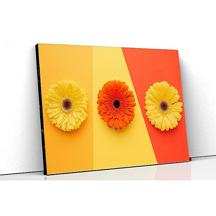 Tablou canvas joc cromatic margarete [1]