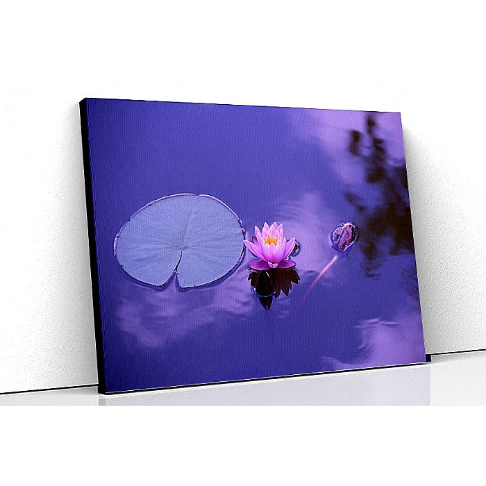 Tablou canvas lotus [1]