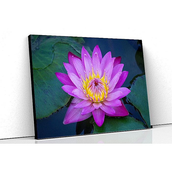 Tablou canvas lotus mov [1]