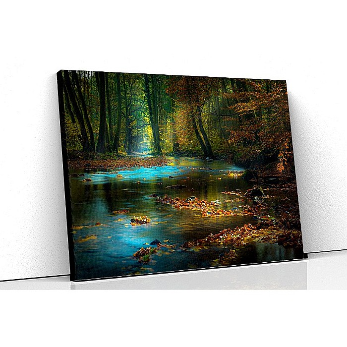 Tablou canvas luminis [1]