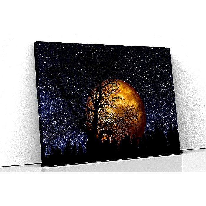 Tablou canvas luna aramie [1]