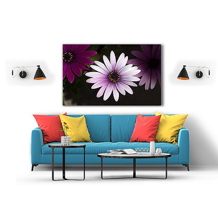 Tablou canvas margareta mov [2]