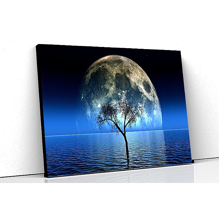 Tablou canvas moon tree see [1]