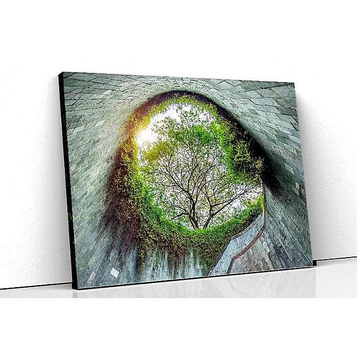 Tablou canvas natura vazuta din tunel [1]