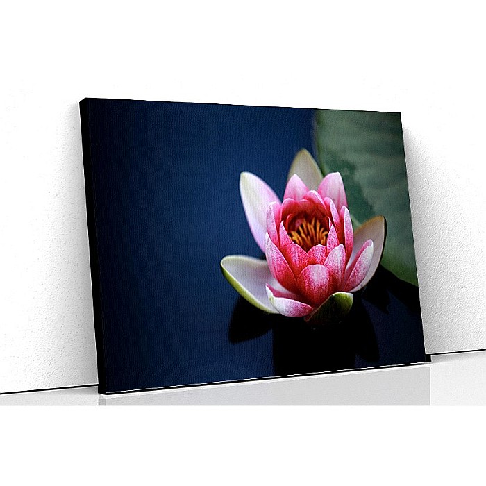 Tablou canvas nufar roz 2 [1]