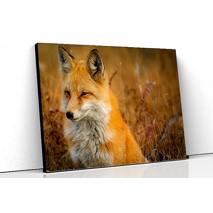 Tablou canvas vulpea [1]
