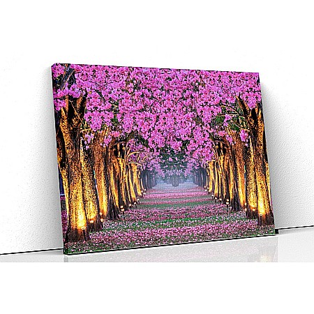 Tablouri canvas peisaje - Tablou canvas alee pomi flori roz iluminata