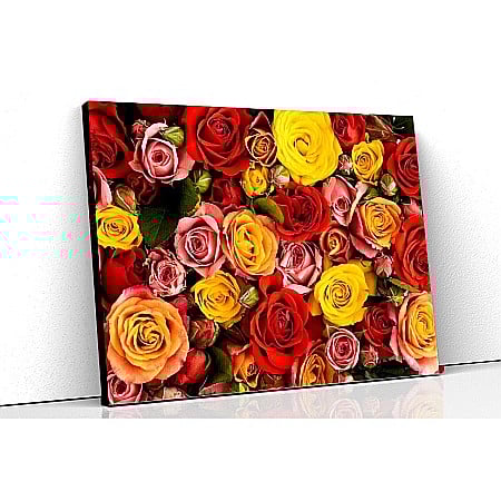 Tablouri canvas florale - Tablou canvas buchet trandafiri multicolori