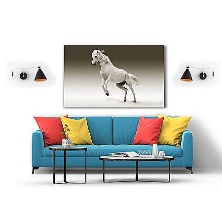 Tablou canvas cal alb [1]