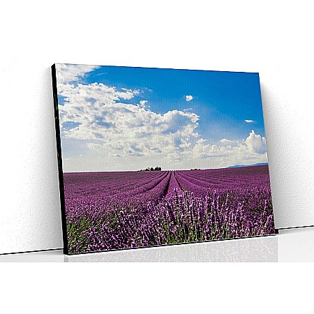 Tablouri canvas florale - Tablou canvas camp cu lavanda