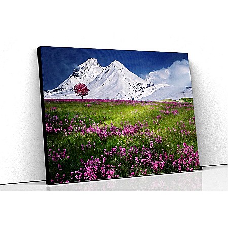 Tablouri canvas peisaje - Tablou canvas campie si munti sub zapada