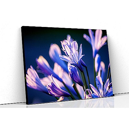Tablouri canvas florale - Tablou canvas crin african
