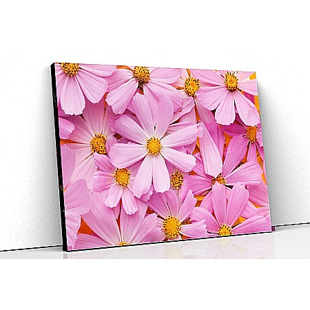 Tablouri canvas florale - Tablou canvas flori roz