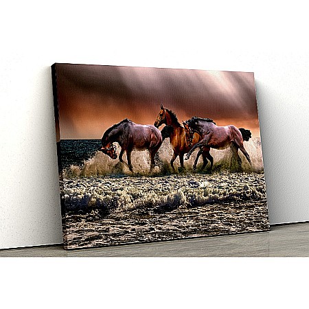 Tablouri canvas cu animale - Tablou canvas horses by the sea