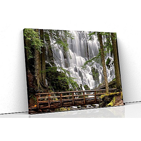 Tablouri canvas peisaje - Tablou canvas in padure