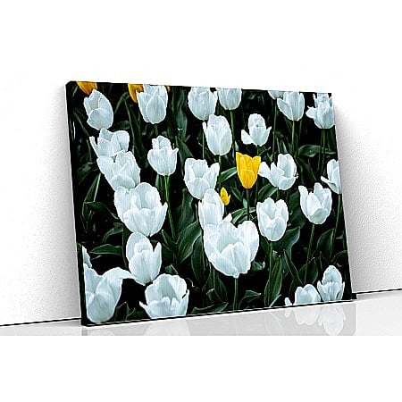 Tablouri canvas florale - Tablou canvas lalele albe