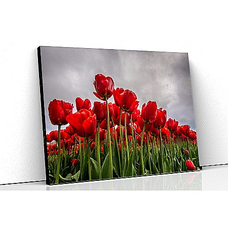 Tablouri canvas florale - Tablou canvas lalele rosii