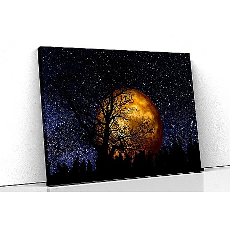 Tablouri canvas peisaje - Tablou canvas luna aramie