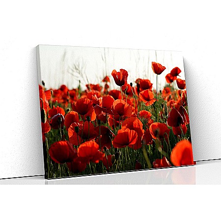 Tablouri canvas florale - Tablou canvas maci