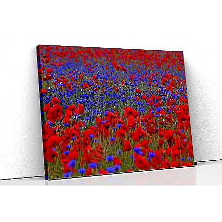 Tablouri canvas florale - Tablou canvas maci si albastrele
