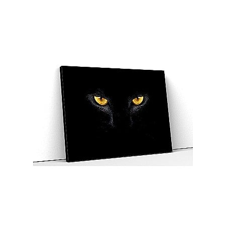 Tablouri canvas cu animale - Tablou canvas ochi de pisica