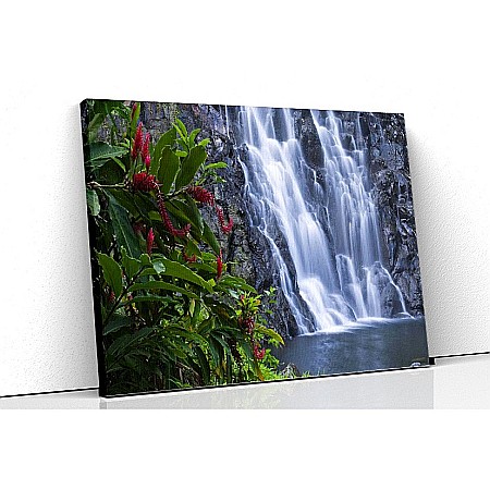 Tablouri canvas peisaje - Tablou canvas perete de flori langa cascada