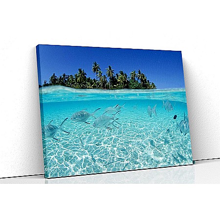 Tablouri canvas cu animale - Tablou canvas pesti in ocean