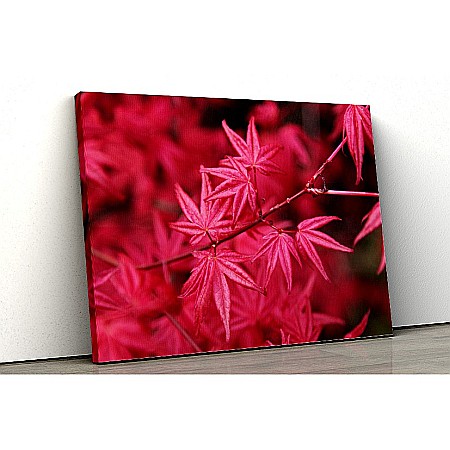 Tablou canvas red leaves [0]