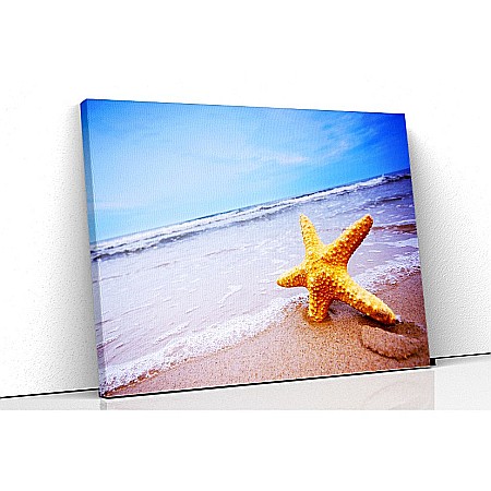 Tablouri canvas peisaje - Tablou canvas stea de pare pe plaja