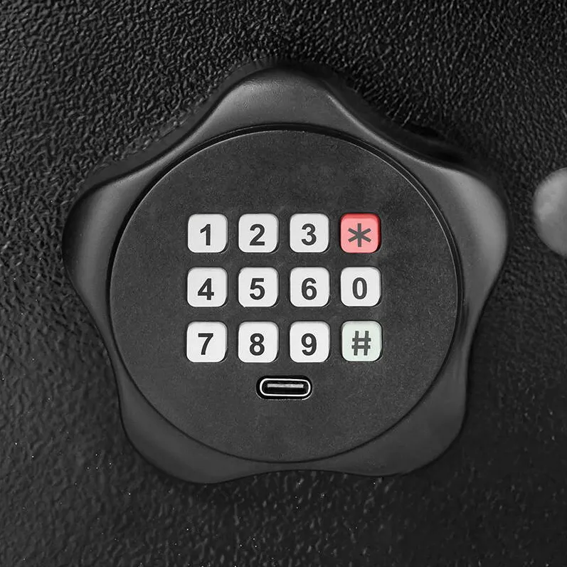 Seif electronic casnic Rebel Bibica Edition din oțel robust, cu tastatură digitală pentru cod PIN și două chei de urgență mecanice [3]